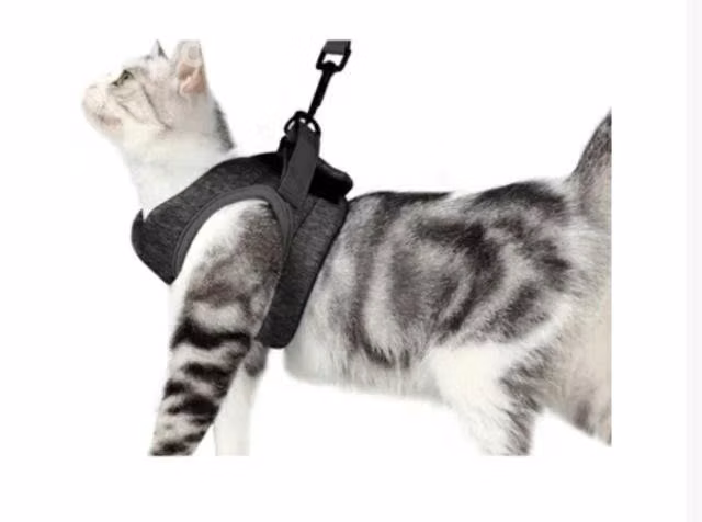 Arnes para gato - Imagen 2
