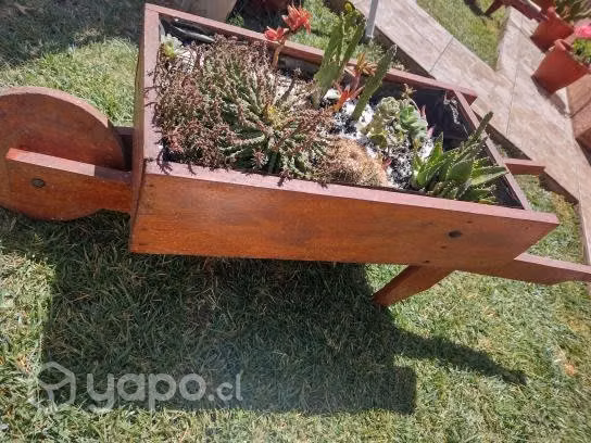 Carretilla con plantas