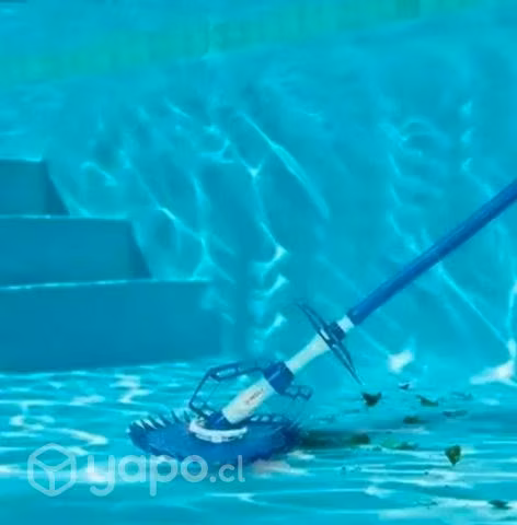 Limpiador de piscina barracuda