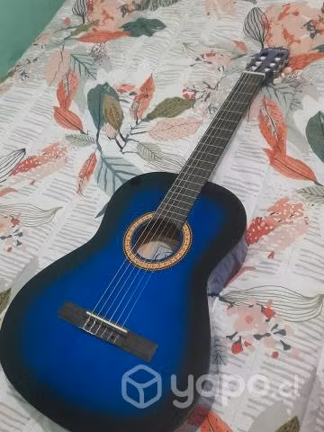 guitarra nueva (muy poco uso)