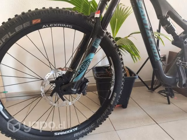 Santa Cruz Bronson - Imagen 3