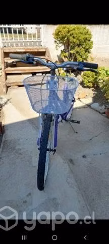 Bicicleta oxford