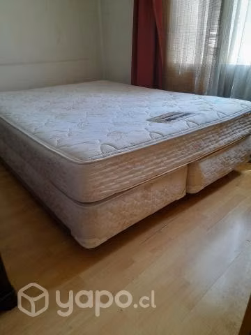 Cama