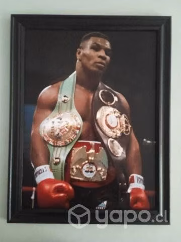 Cuadros de MIKE TYSON - Imagen 2