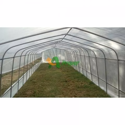 PREVENTA-Invernadero Metálico 200 Mts2