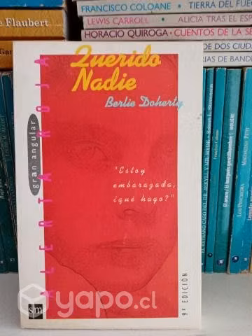Querido Nadie: Estoy Embarazada ¿Qué Hago?