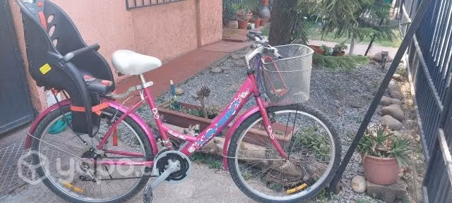 Bicicleta+silla 25 kilos - Imagen 2