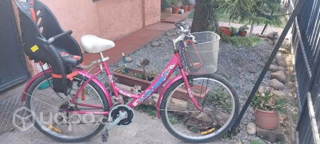 Bicicleta+silla 25 kilos