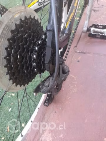 Bici MTB marca Scott