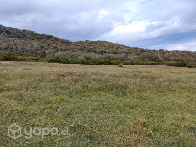 Hermoso predio de 10,926 hectáreas en Levicán