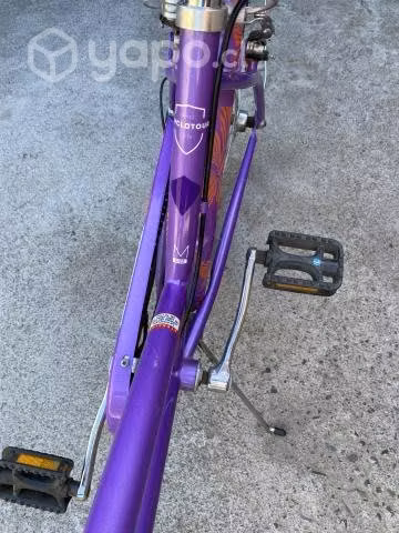 Bicicleta oxford - Imagen 2