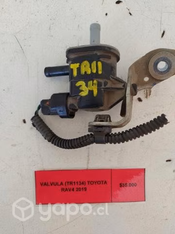 Valvula (TR1134) Toyota RAV4 2019