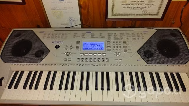 teclado electronico 61 teclas wintec
