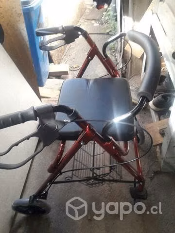 Carro de paseo para adulto mayor