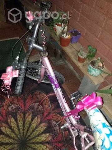 Bicicleta Aro 20