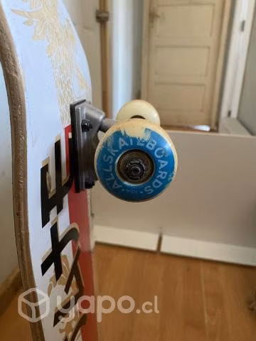 Skate buen estado