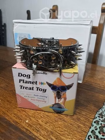 Collares de puas para perro