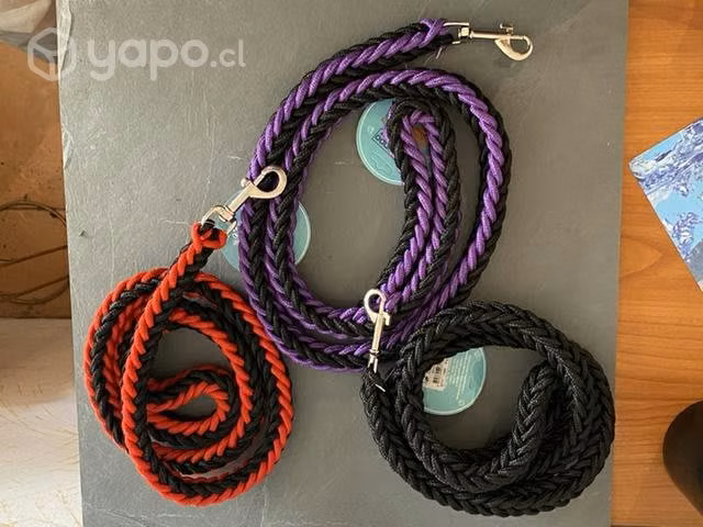 Correas para mascota