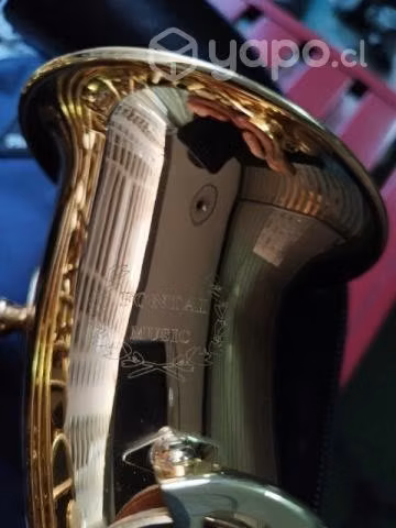 Saxo Alto