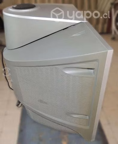 Sony Trinitron 29 con Subwoofer