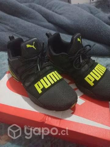 Zapatillas