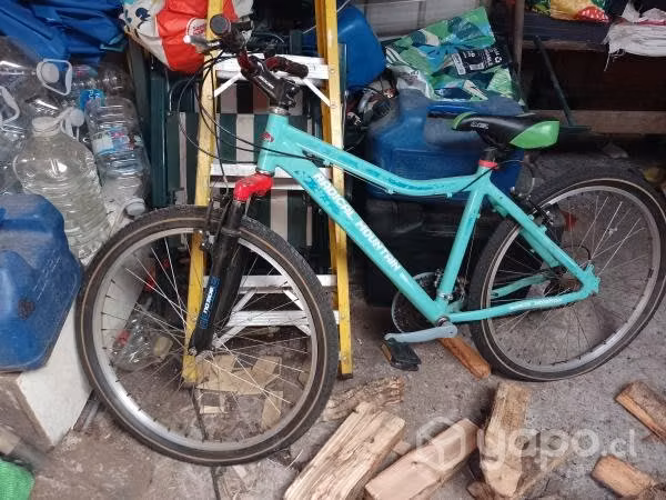 Bicicleta