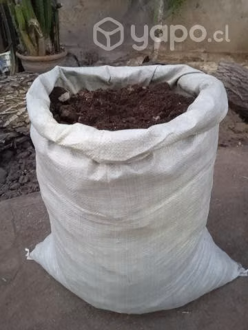 Abono para plantas (guano de gallina)