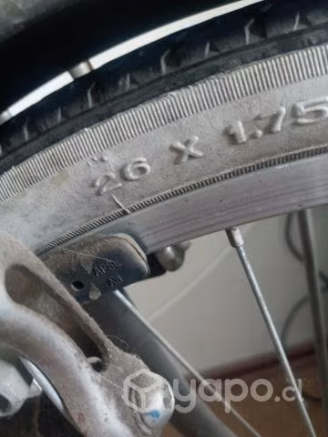 Bicicleta