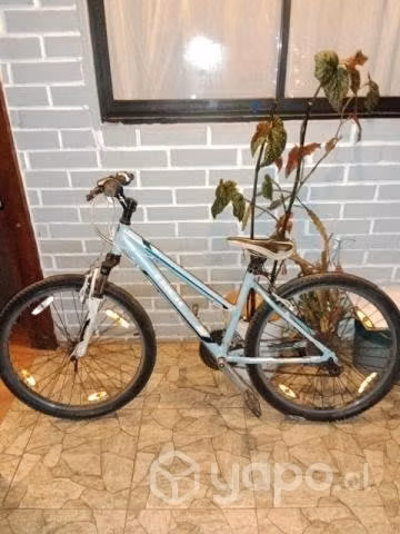 Bicicleta trek