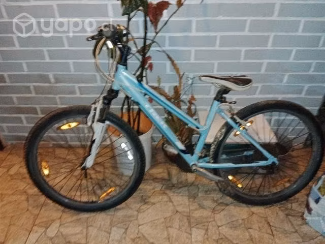 Bicicleta trek