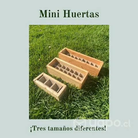 Mini huertas