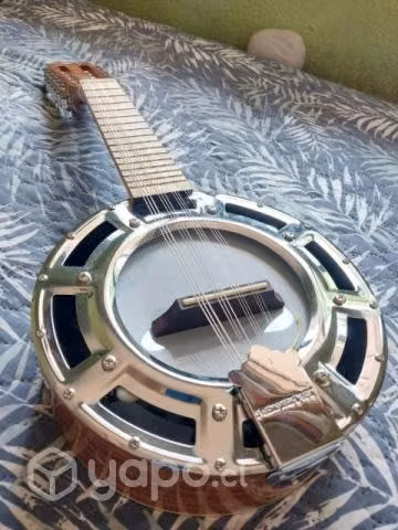 Banjo 12 cuerdas