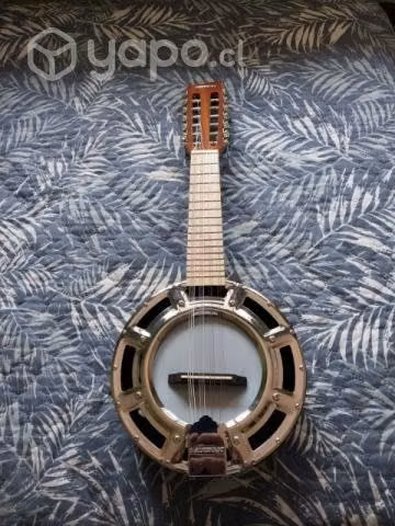 Banjo 12 cuerdas