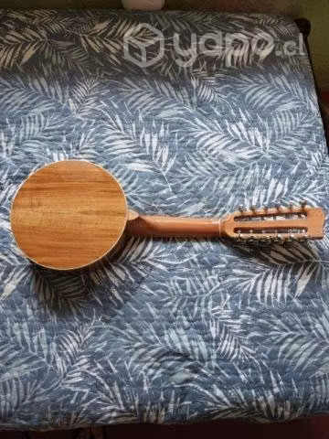 Banjo 12 cuerdas