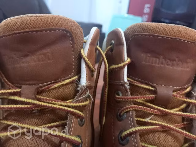Zapatos Americanos Timberland