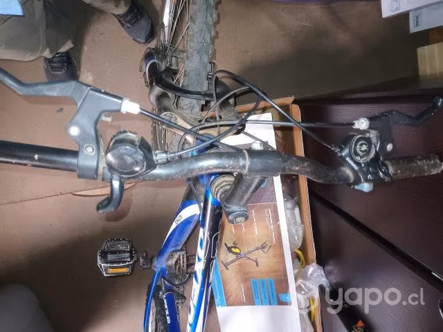 Bicicleta oxforf