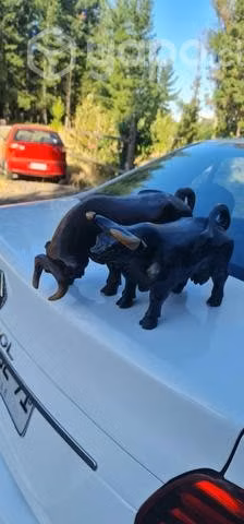 la pareja de toros