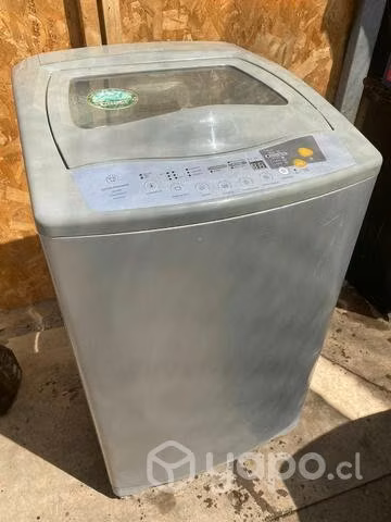 Madensa 17 kilos - Imagen 3