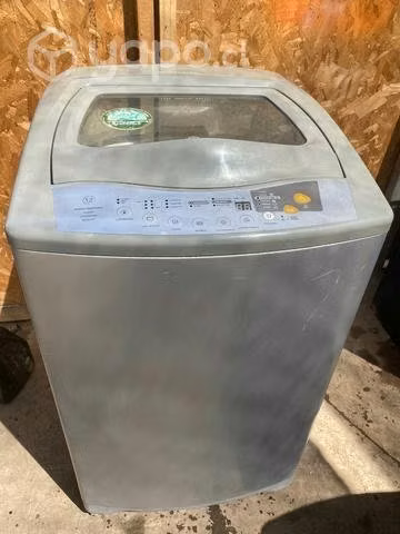 Madensa 17 kilos - Imagen 2