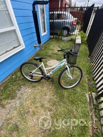 Bicicleta Femenina