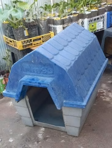 Casa de perro