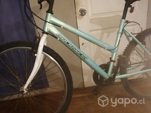 Bicicleta