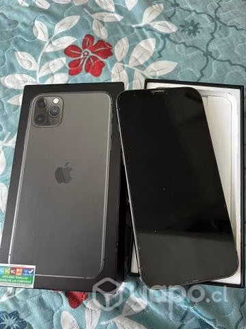 Iphone 12 pro max