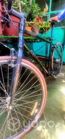 Bicicleta marca altitude