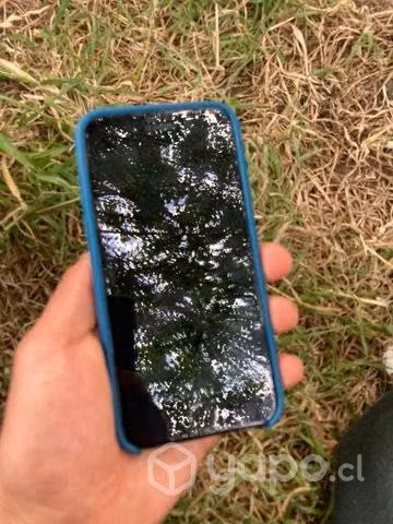 iPhone 8