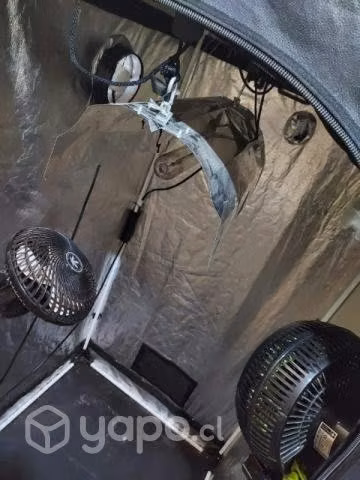 Indoor 80x80x160