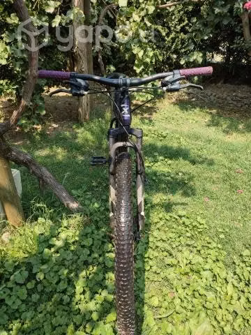 Bicicleta Oxford - Imagen 3