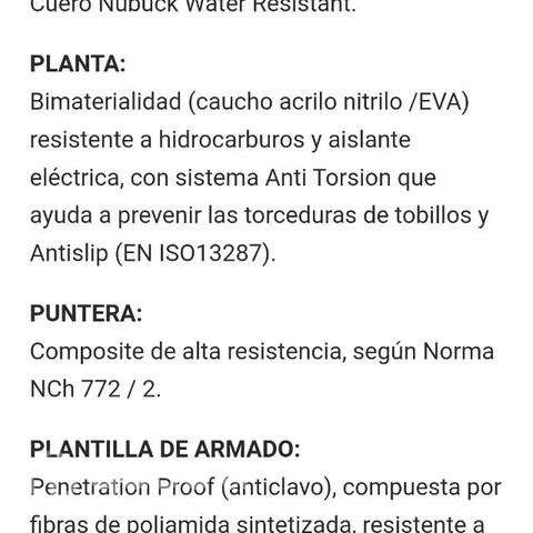 Botin de seguridad n ° 41 - Imagen 2
