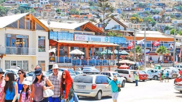 Terreno guanaqueros 1000m2 - Imagen 2