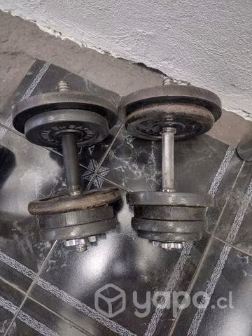 Mancuernas 18,5 kl cada una